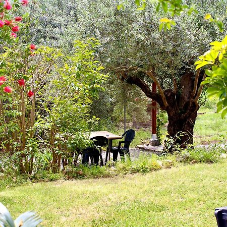 Villa Pelau - Holiday Home Jerzu Bagian luar foto