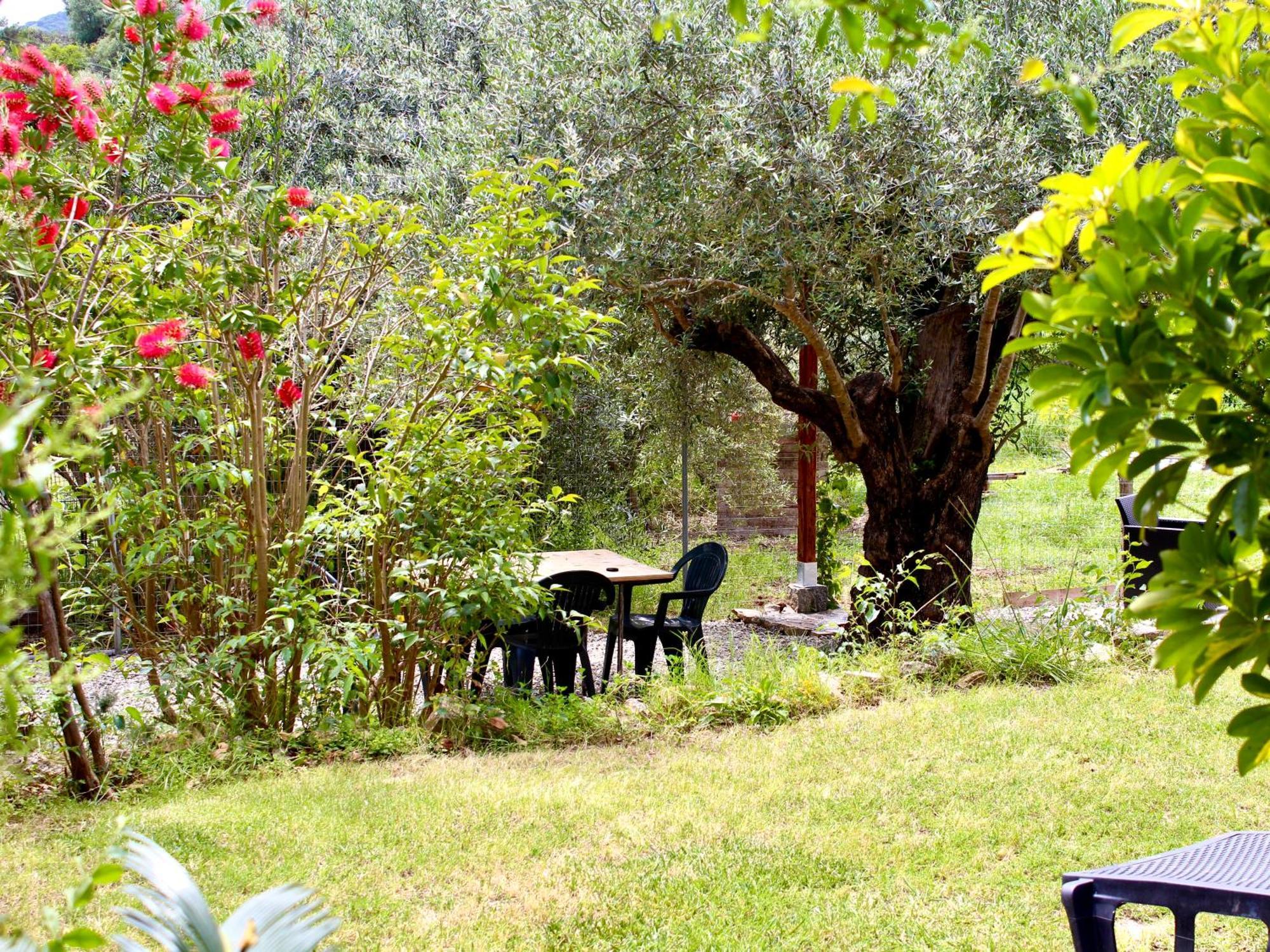 Villa Pelau - Holiday Home Jerzu Bagian luar foto